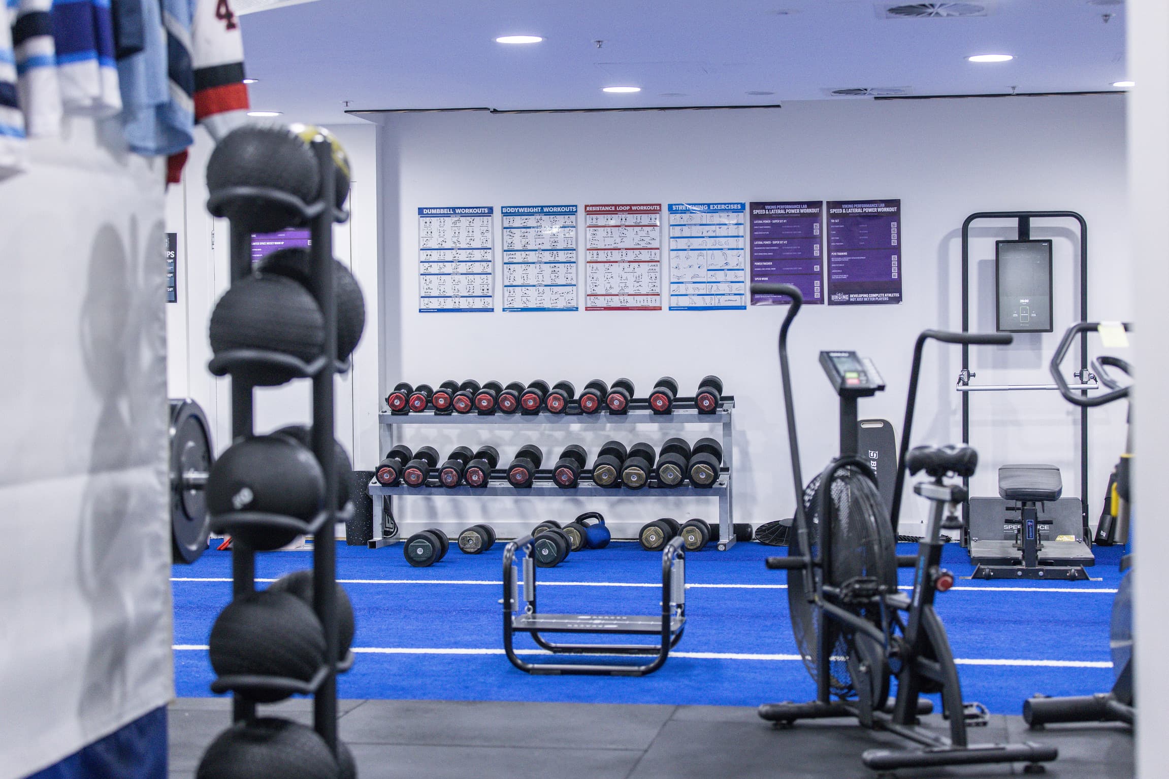 Gym Floor Access (No Shooting)